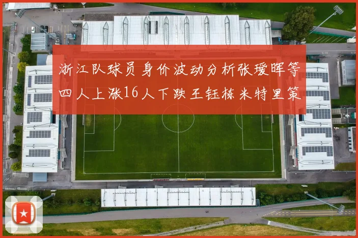 浙江队球员身价波动分析张瑷晖等四人上涨16人下跌王钰栋米特里策保持不变