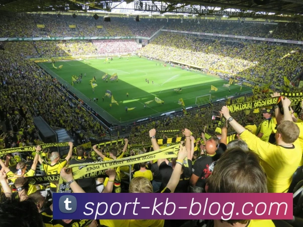 KB体育平台生态图