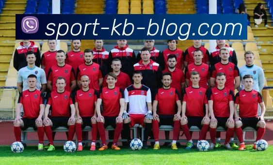 KB体育APP 封面图